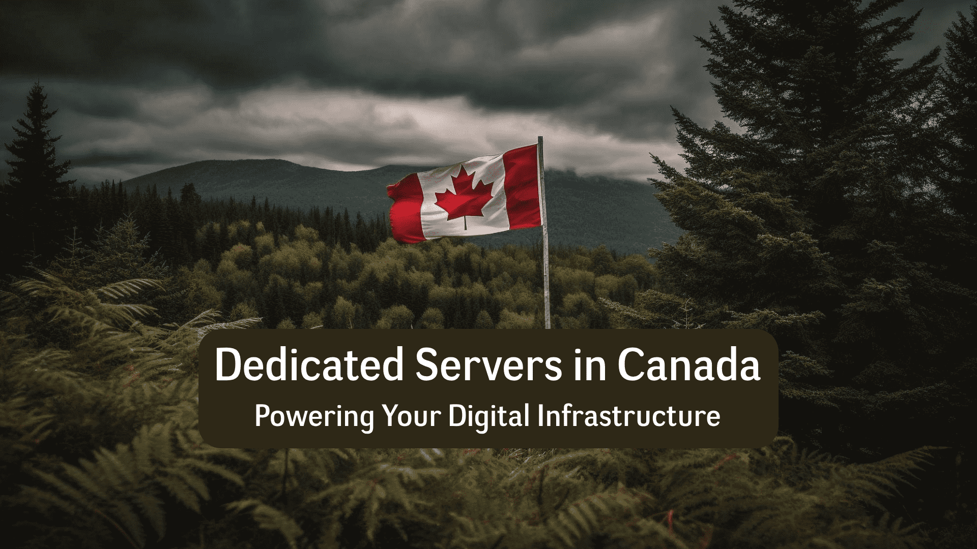 Dedicated Servers in Canada
