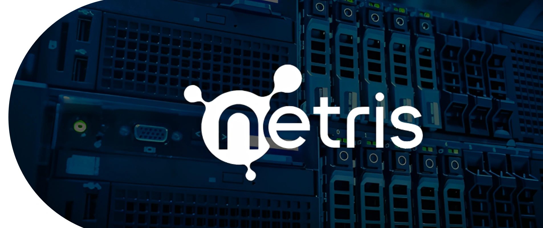 Netris On Bare Metal Cloud