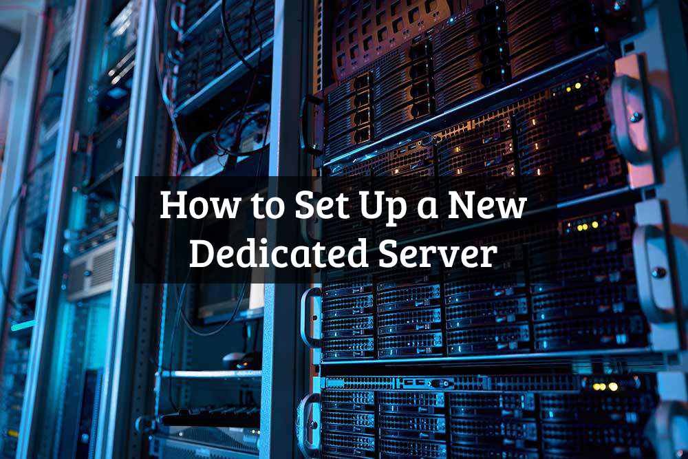 Dedicated Server